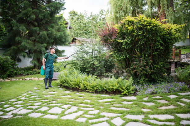 Best Ant Control Services  in South River, NJ