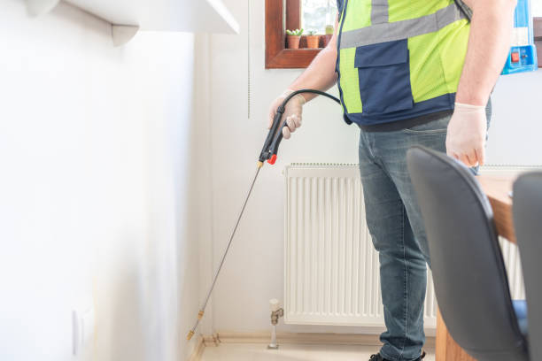 Reliable South River, NJ Pest Control Solutions