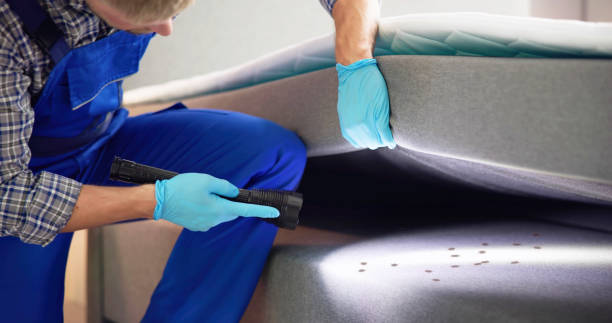 Best Best Pest Control Companies  in South River, NJ