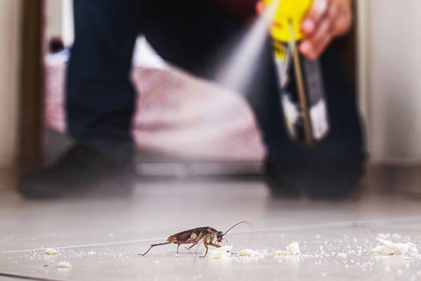 Best Best Pest Control Companies  in South River, NJ