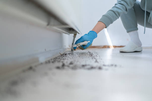 Best Wildlife Control Services  in South River, NJ